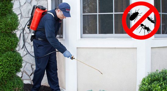 Ulukışla Gümüşkurt İlaçlama böcek ilaçlama ve haşere kontrolü — ilaclama-tr.com
